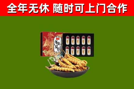 衢州回收冬虫夏草价格